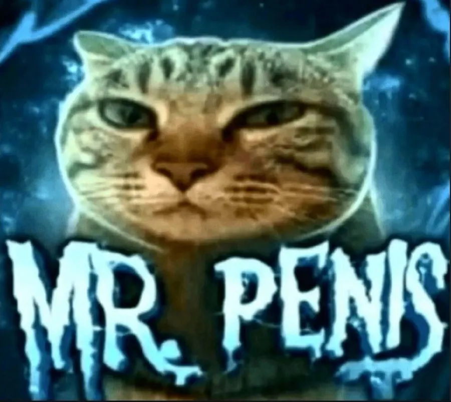 Untitled meme
