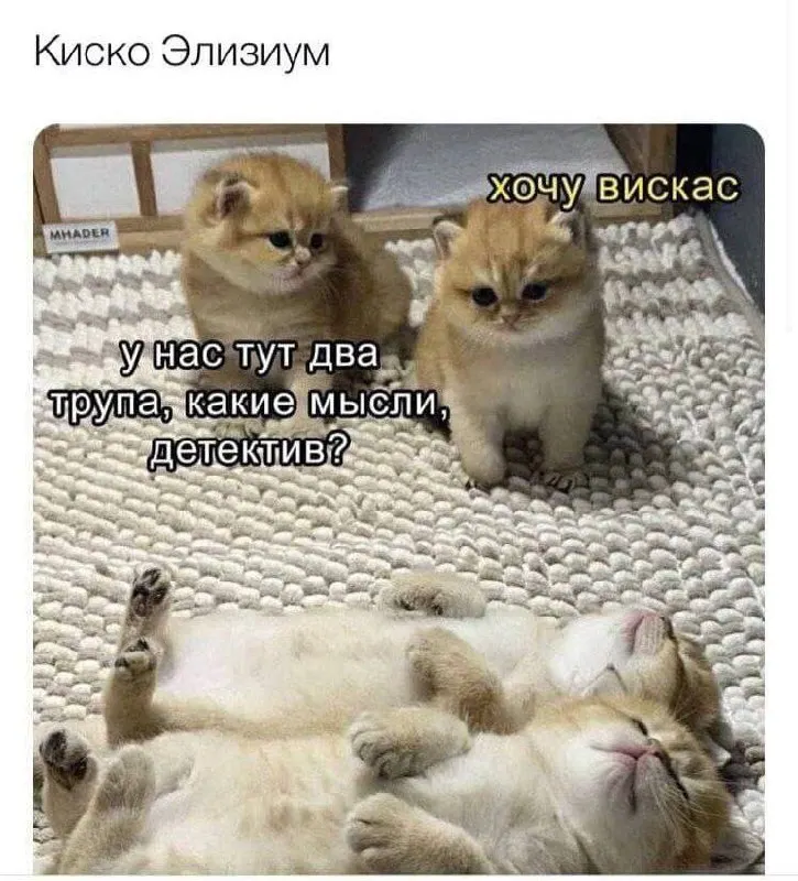 Untitled meme