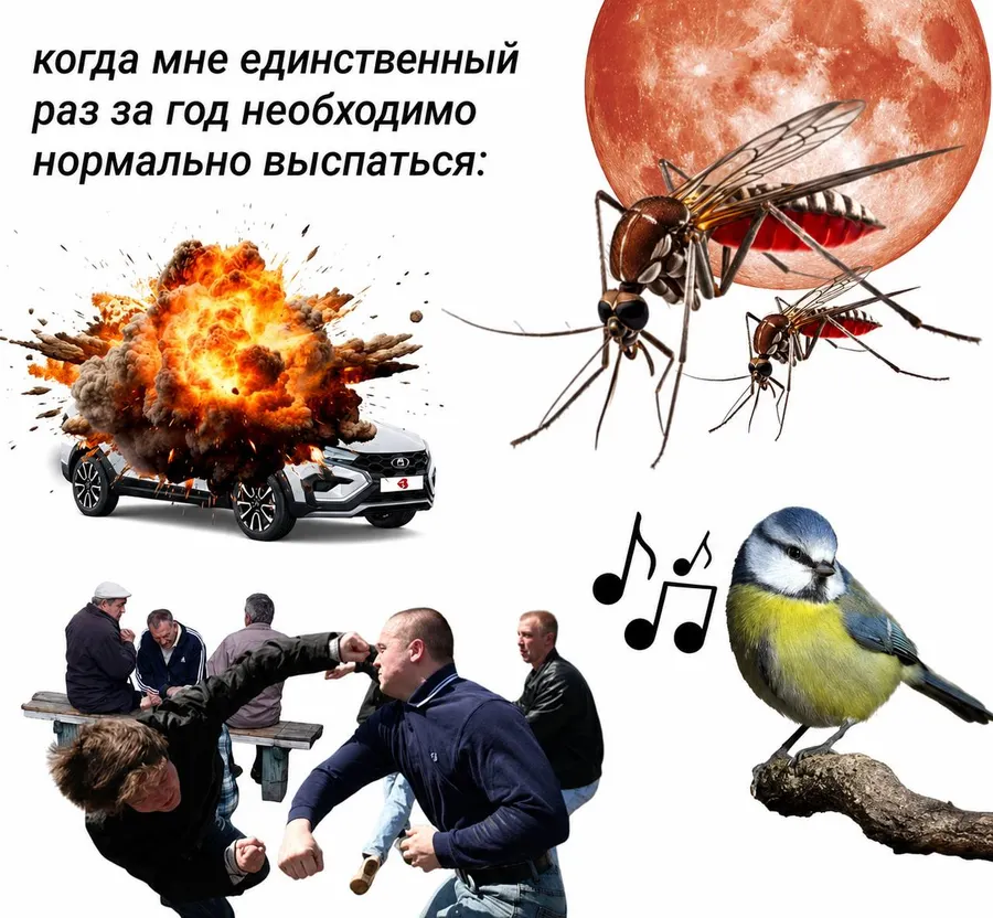 Untitled meme