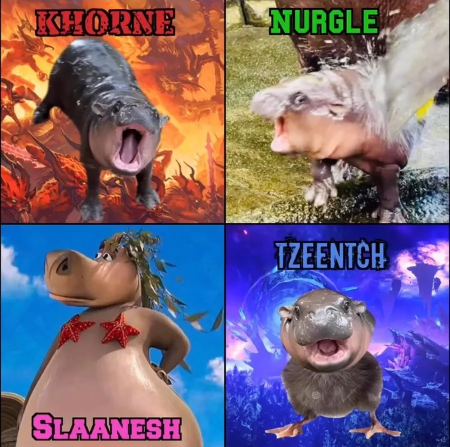 Untitled meme