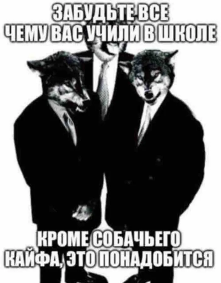 Untitled meme