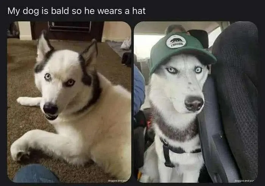 Untitled meme