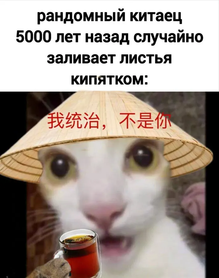 Untitled meme