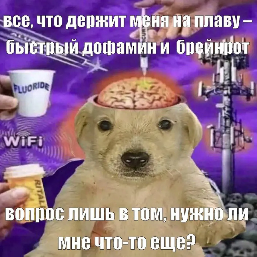 Untitled meme