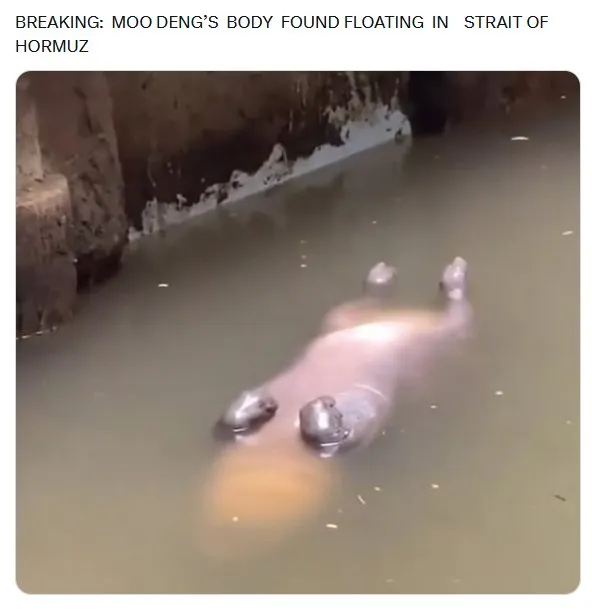 Untitled meme
