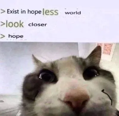 Untitled meme