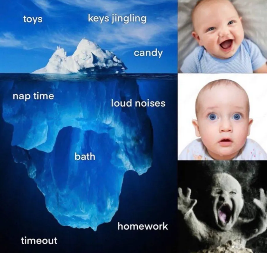 Untitled meme