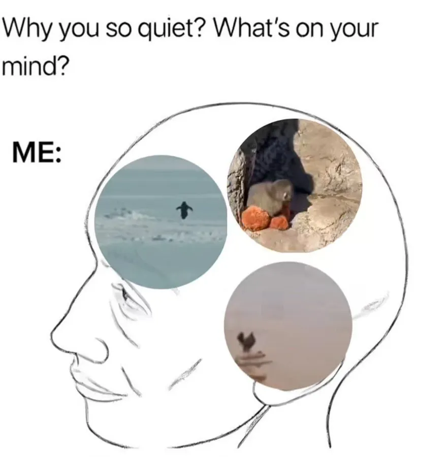 Untitled meme