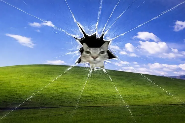 Untitled meme