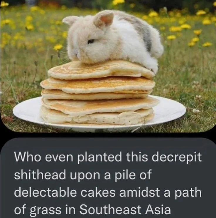 Untitled meme