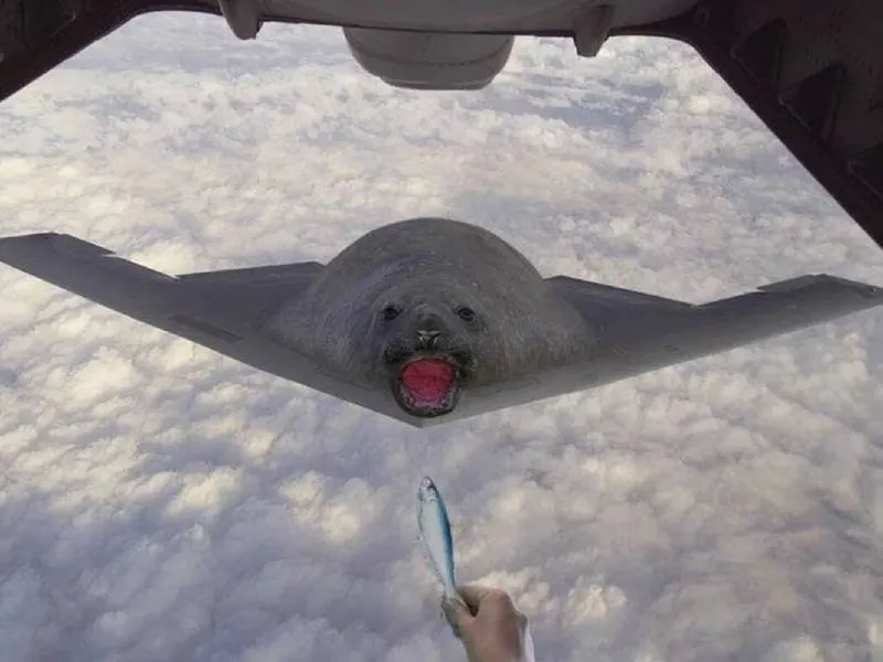 Untitled meme