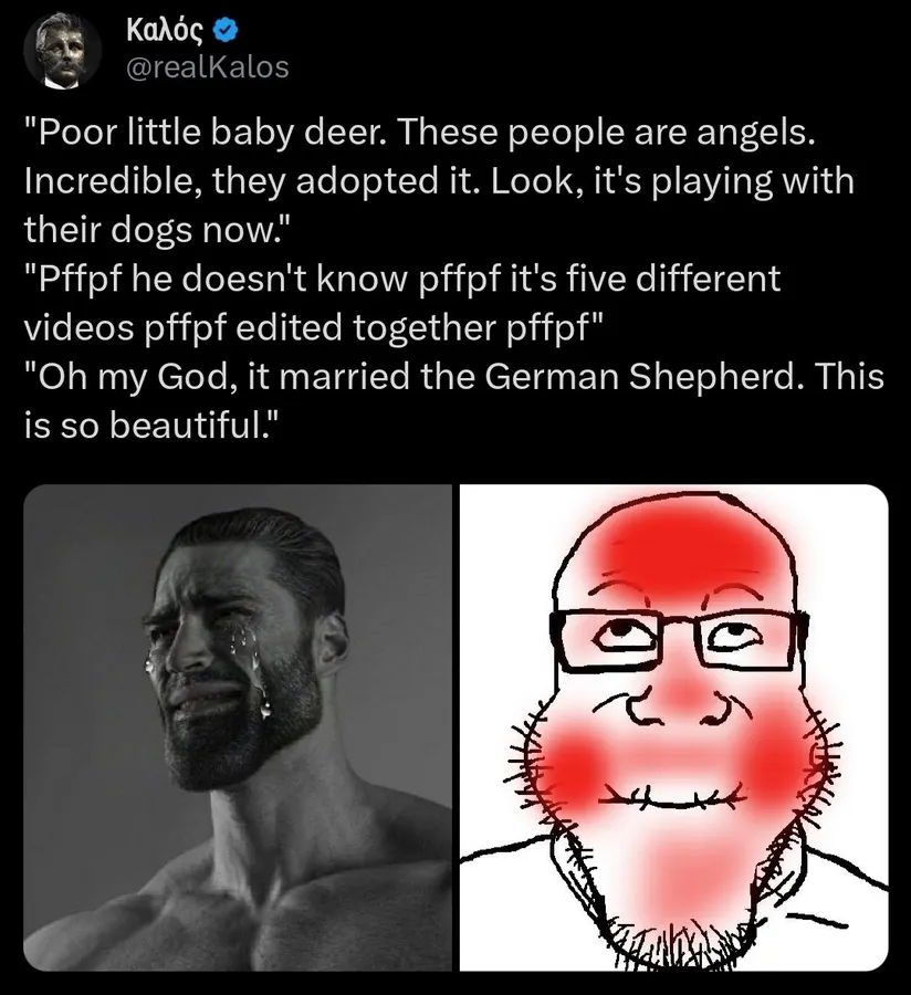 Untitled meme