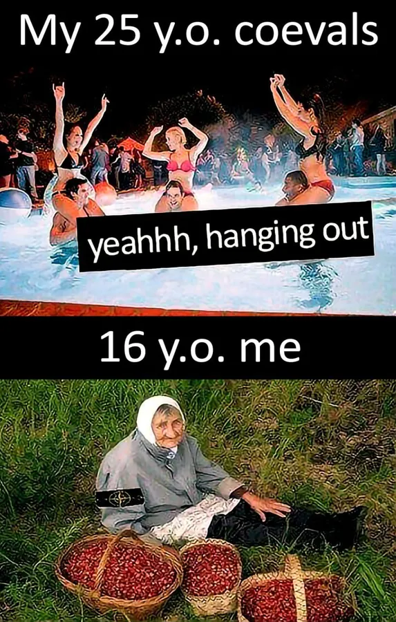 Untitled meme