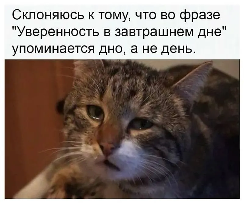 Untitled meme