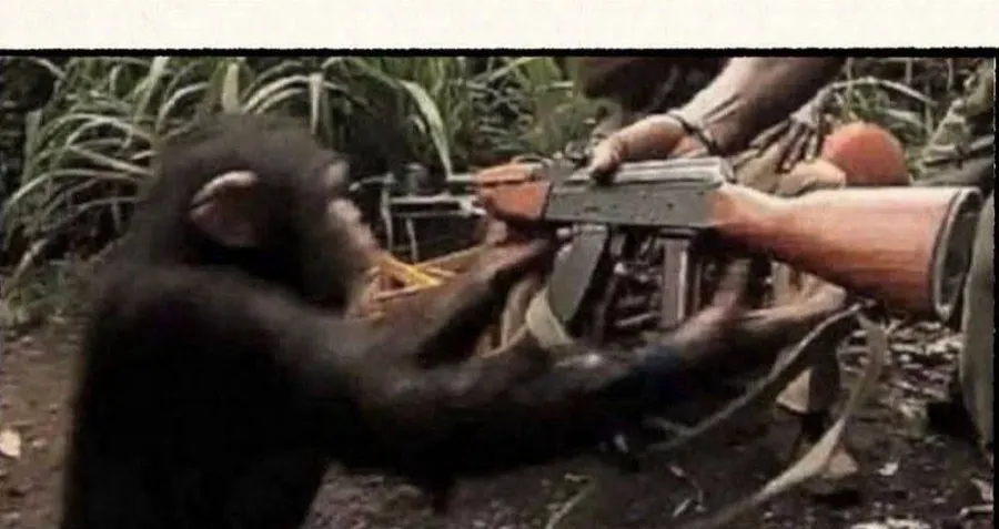 Untitled meme