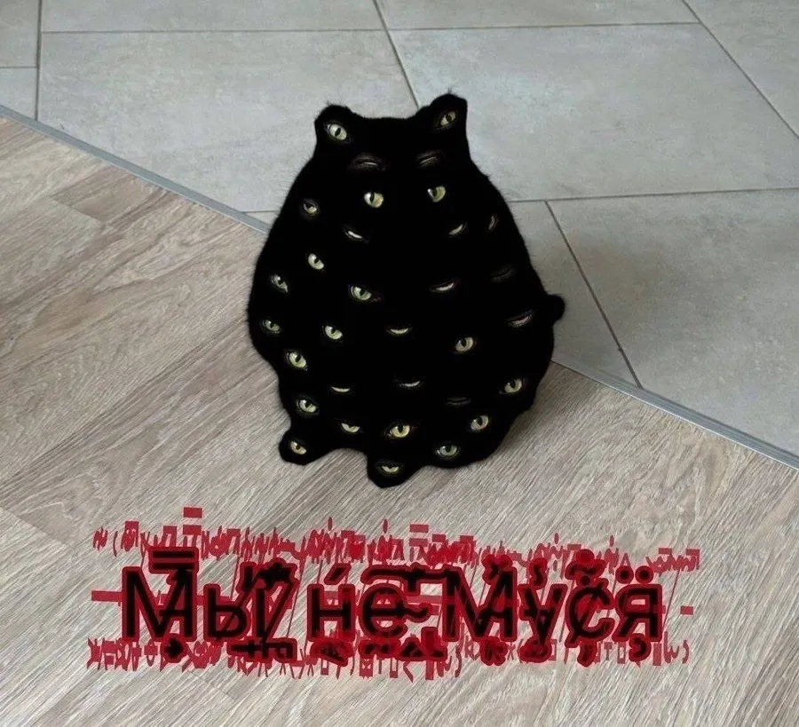 Untitled meme