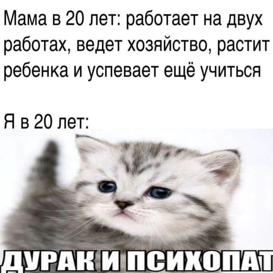 Untitled meme
