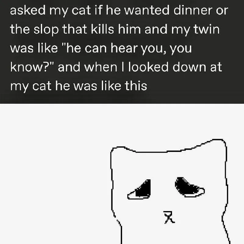 Untitled meme