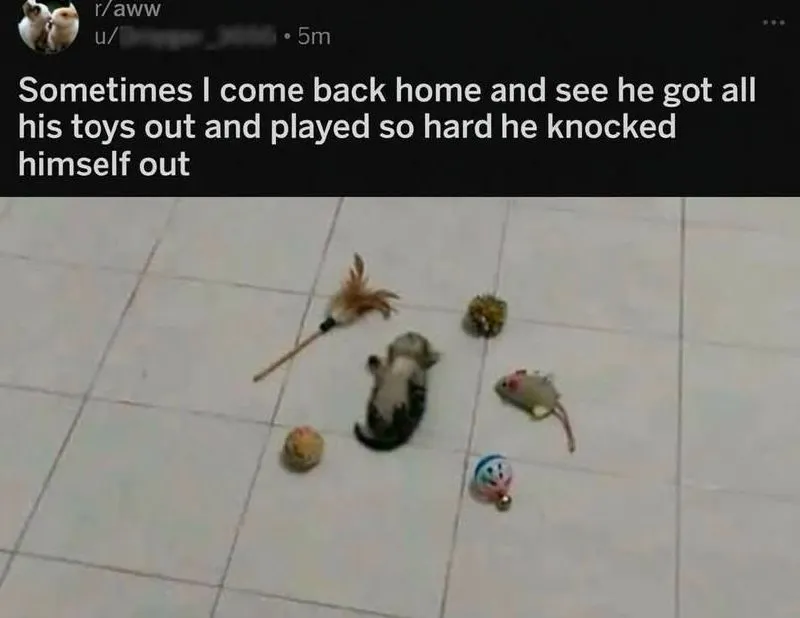 Untitled meme