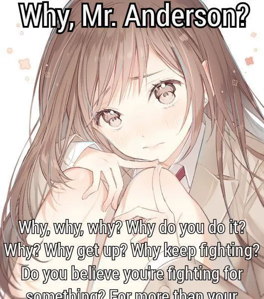 Untitled meme