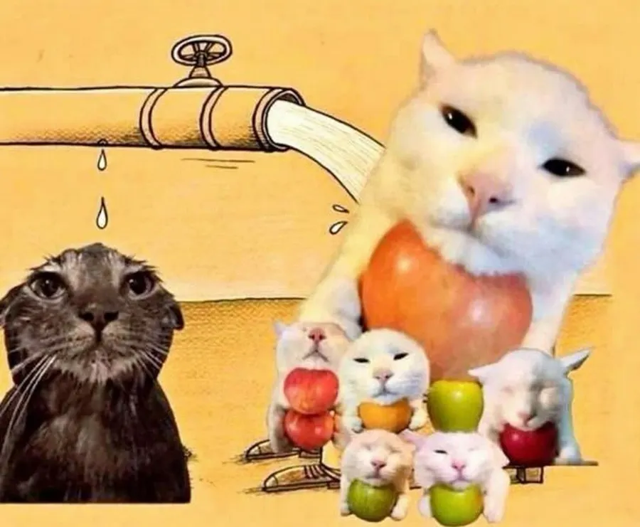 Untitled meme