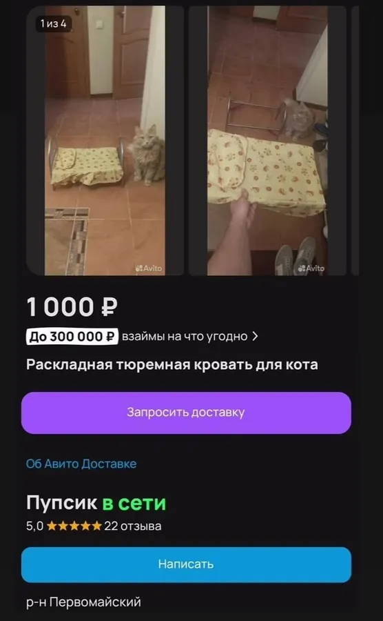 Untitled meme