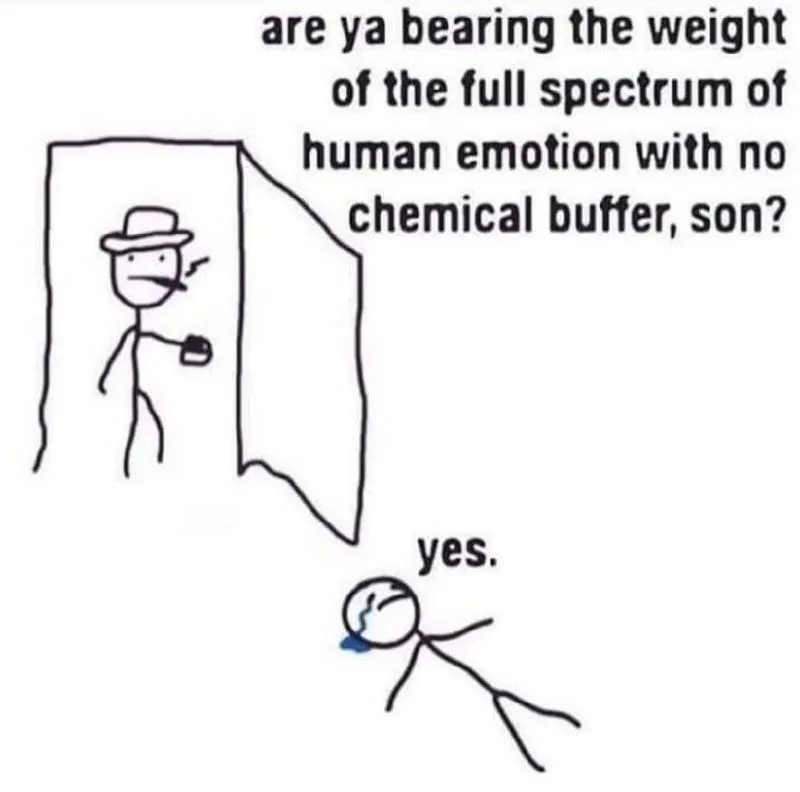 Untitled meme