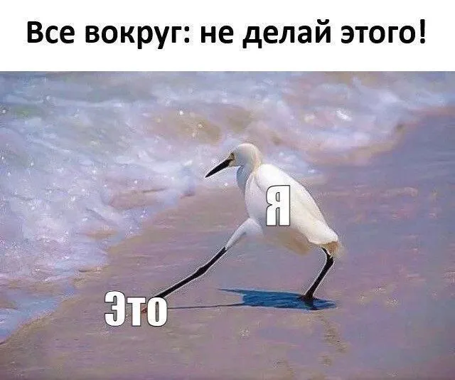 Untitled meme