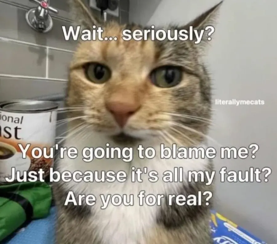 Untitled meme