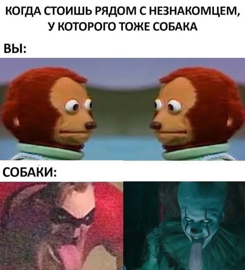 Untitled meme