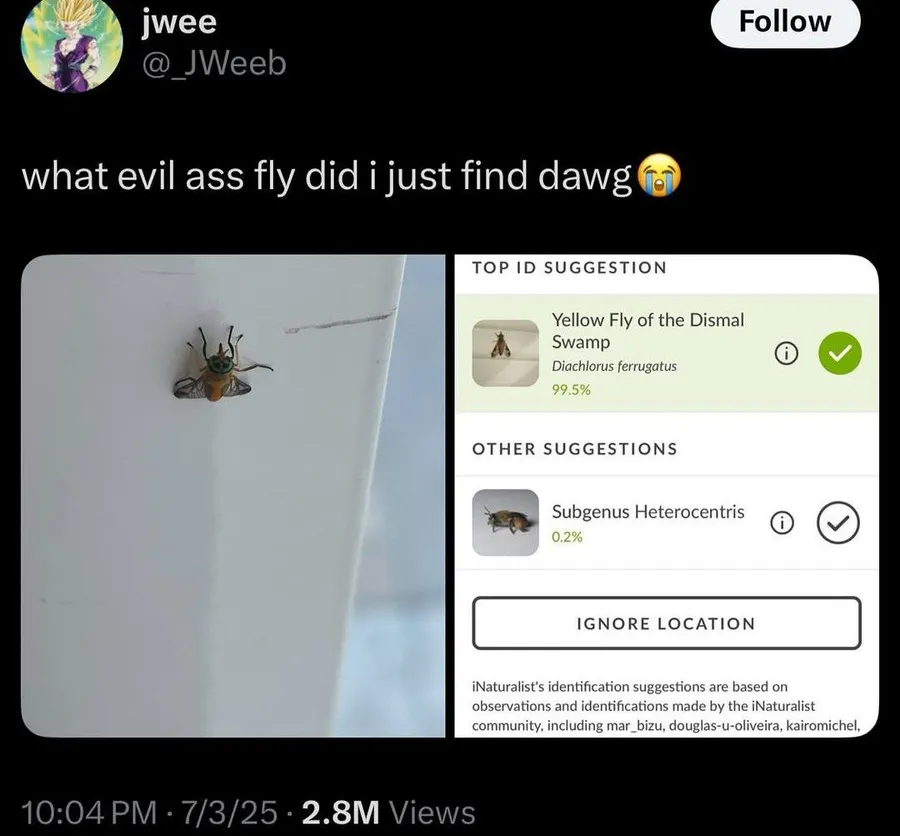 Untitled meme