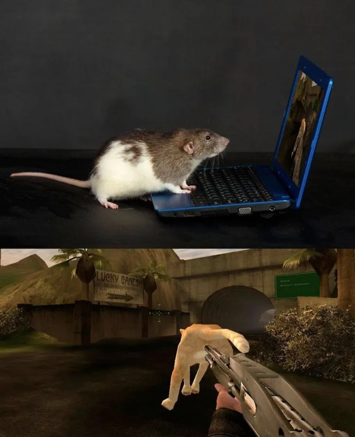 Untitled meme