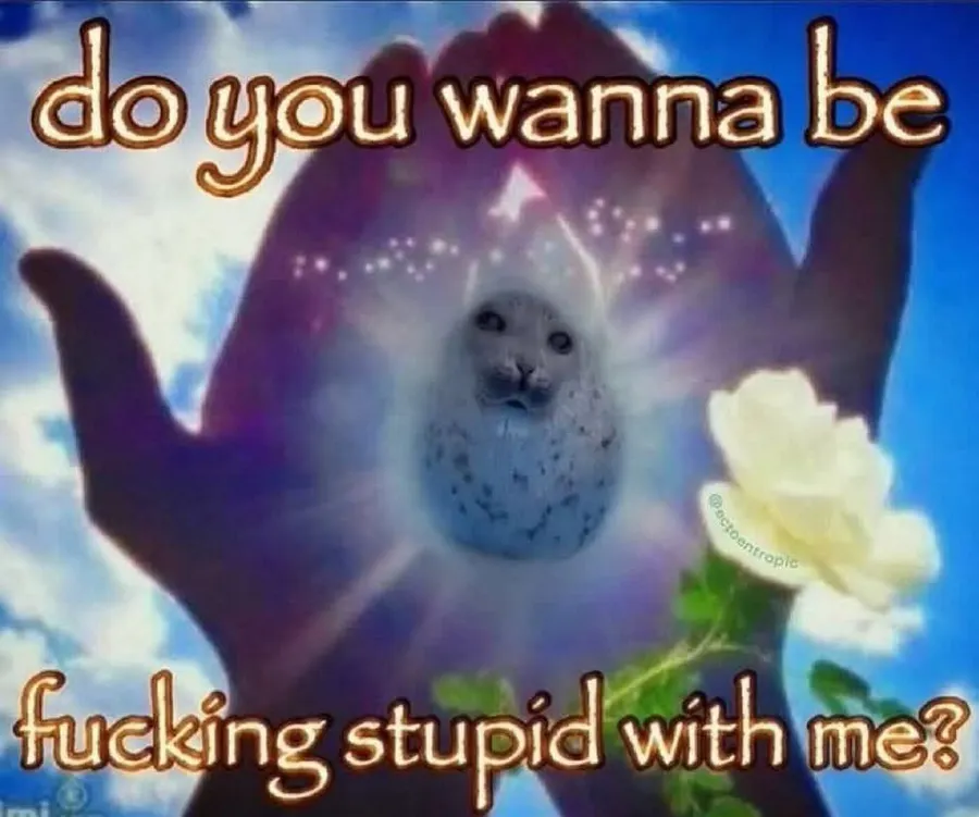 Untitled meme