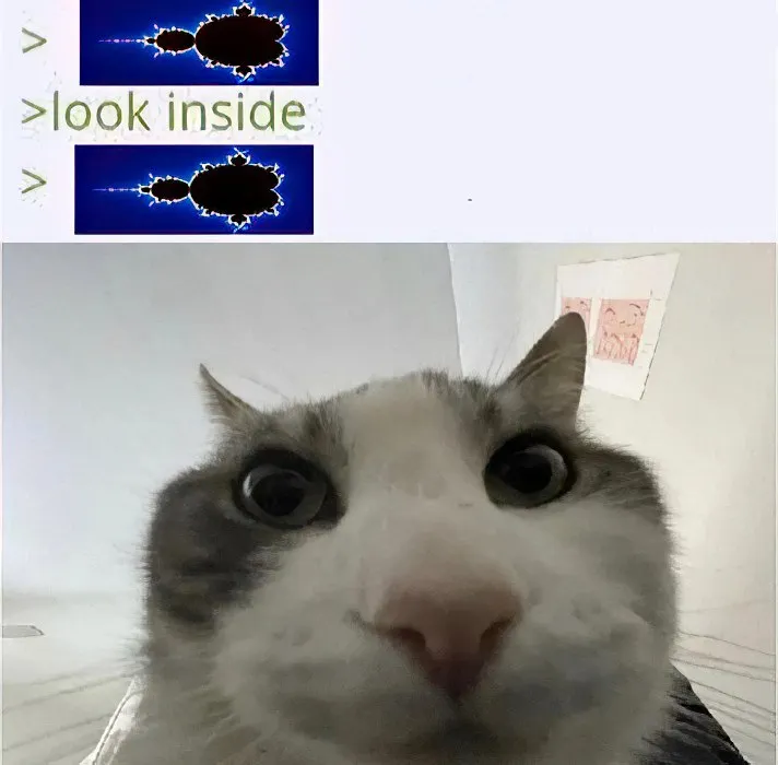 Untitled meme