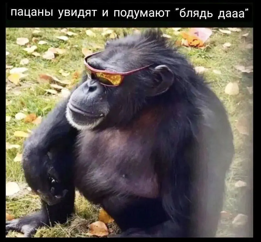 Untitled meme