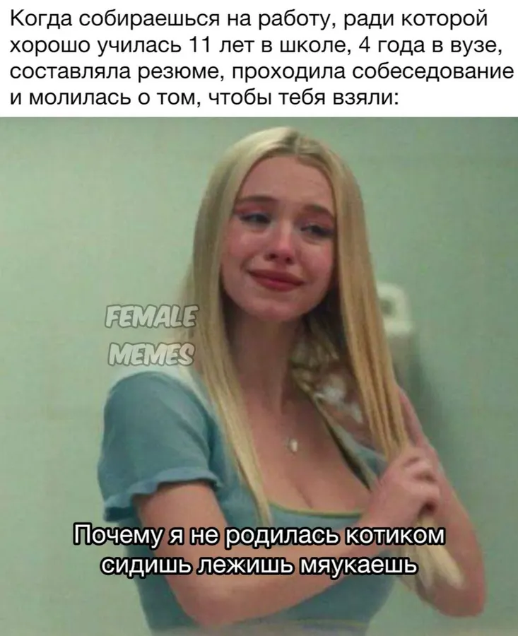 Untitled meme