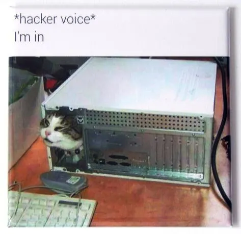 Untitled meme