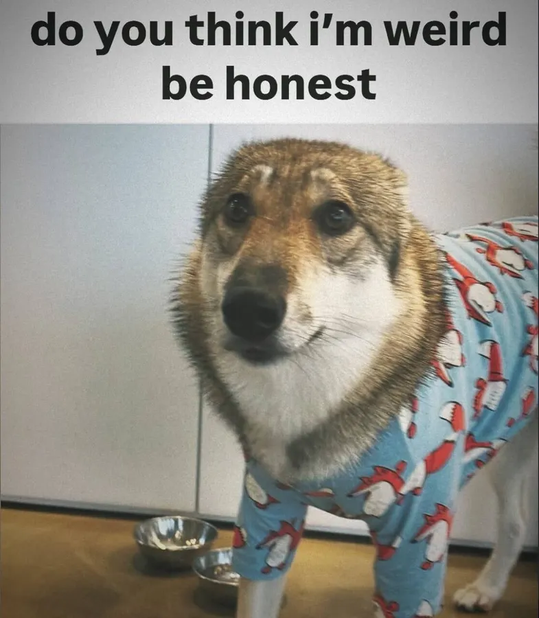 Untitled meme