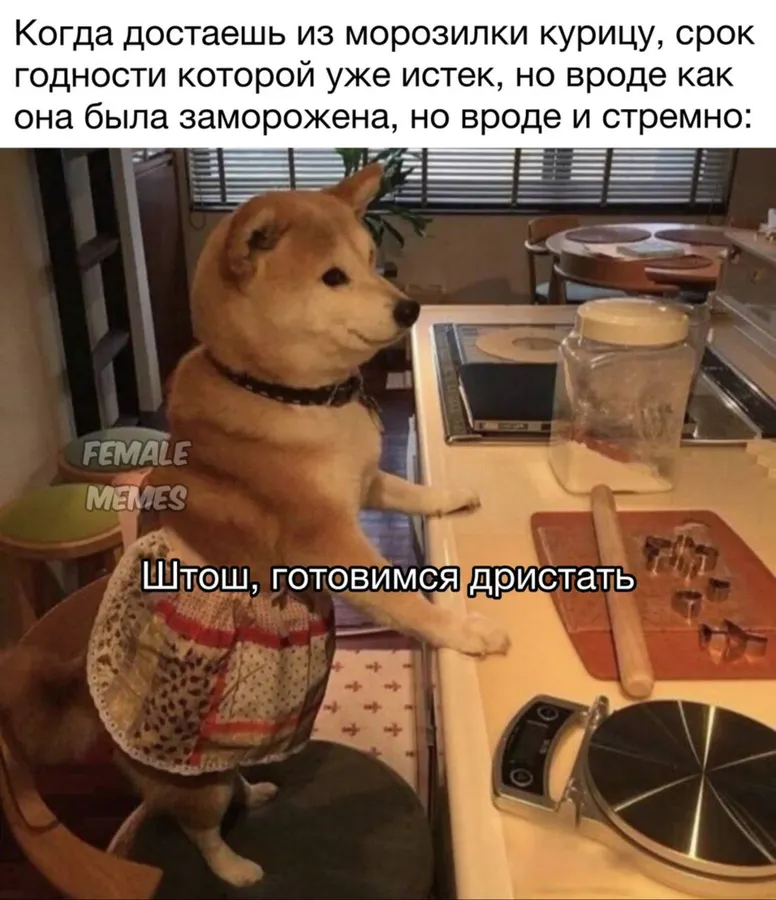 Untitled meme