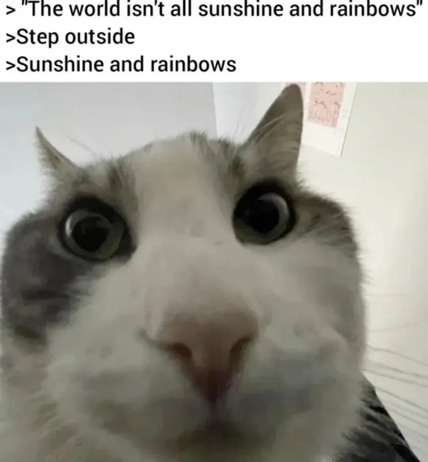 Untitled meme
