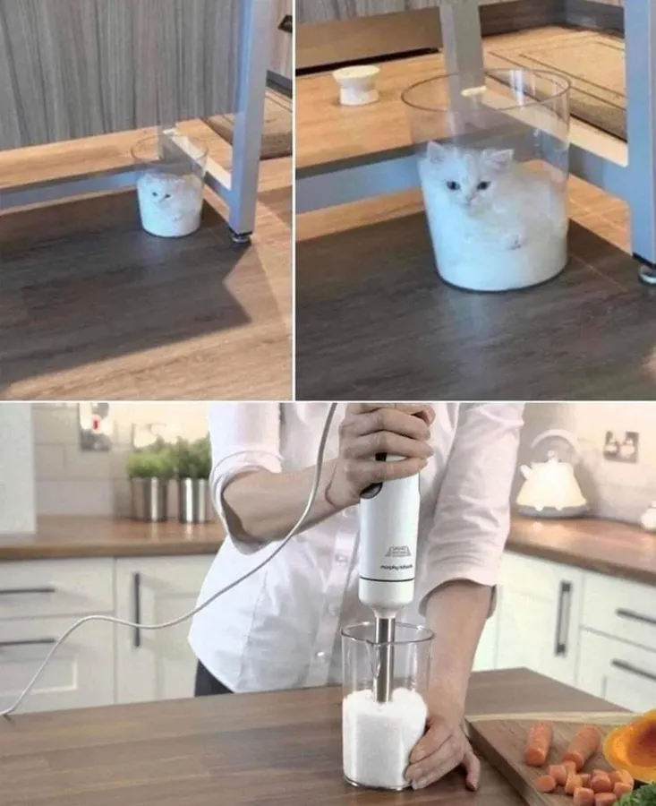 Untitled meme