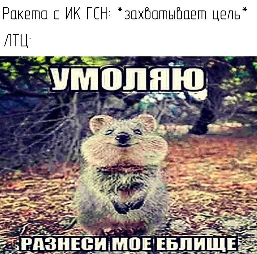 Untitled meme