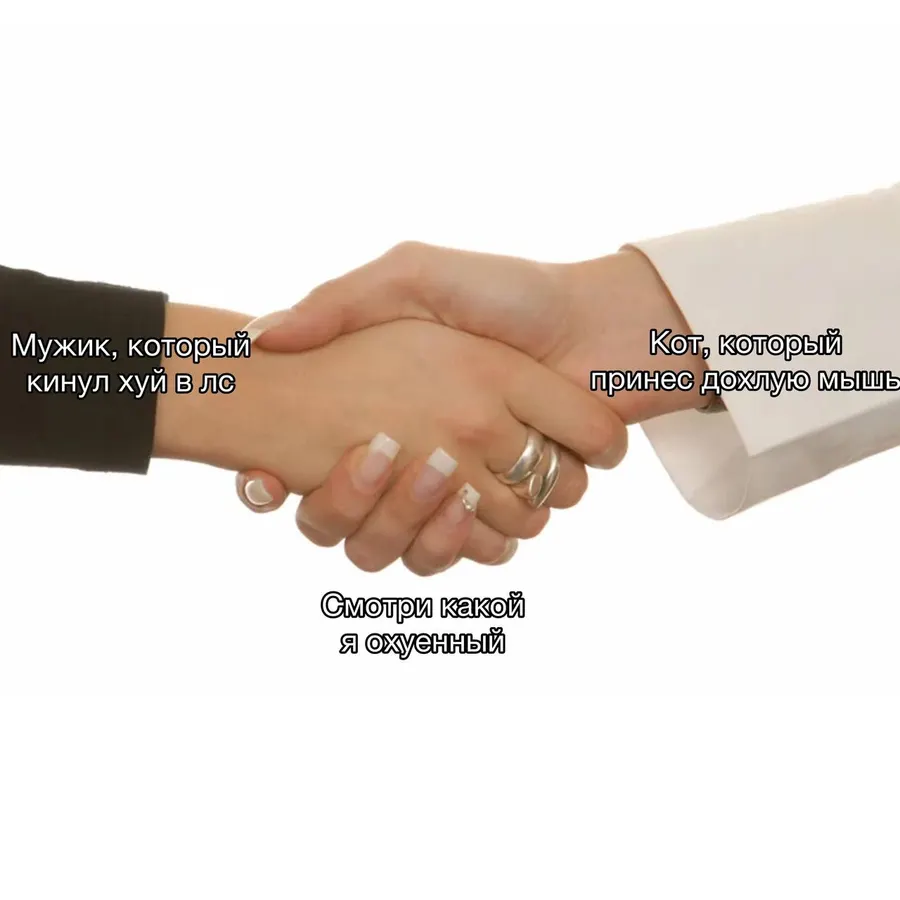 Untitled meme