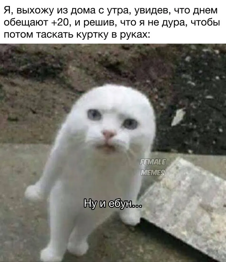 Untitled meme
