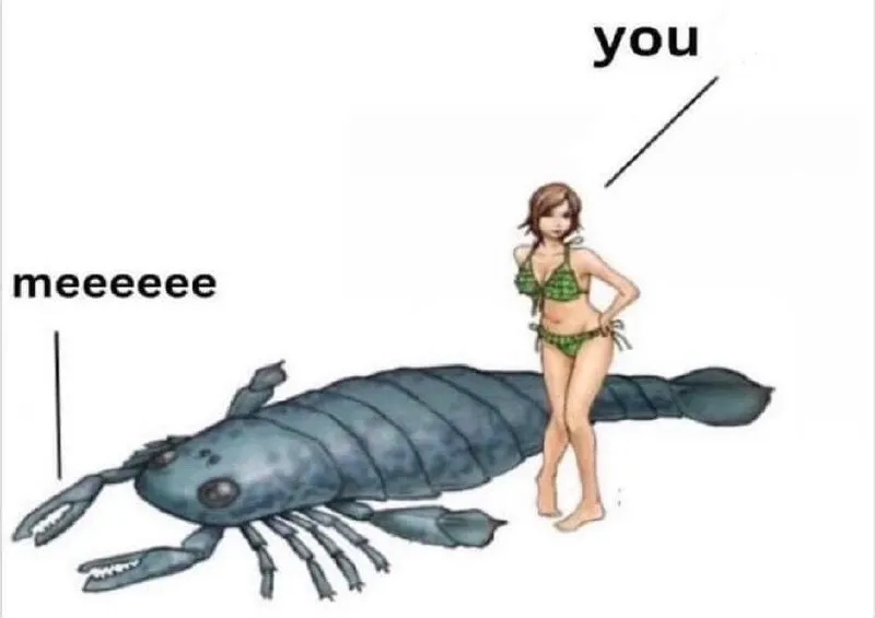 Untitled meme