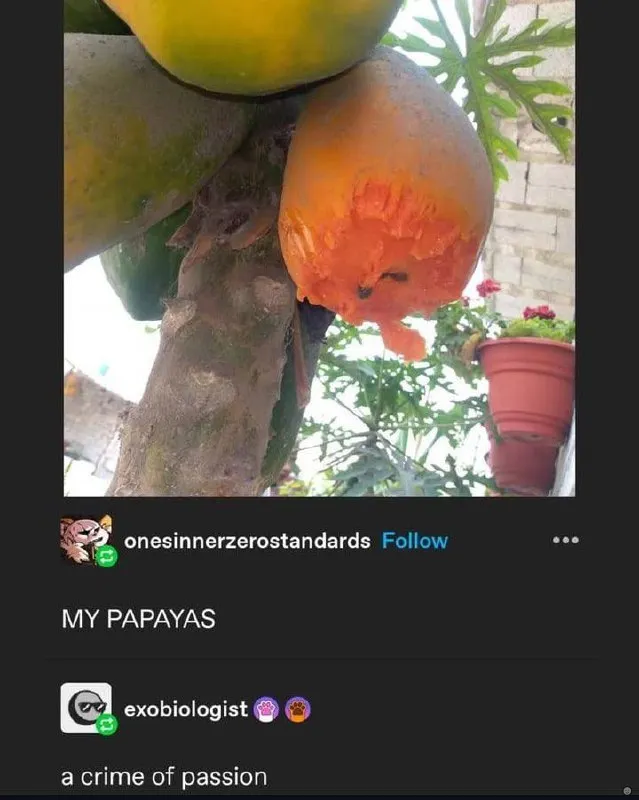 Untitled meme