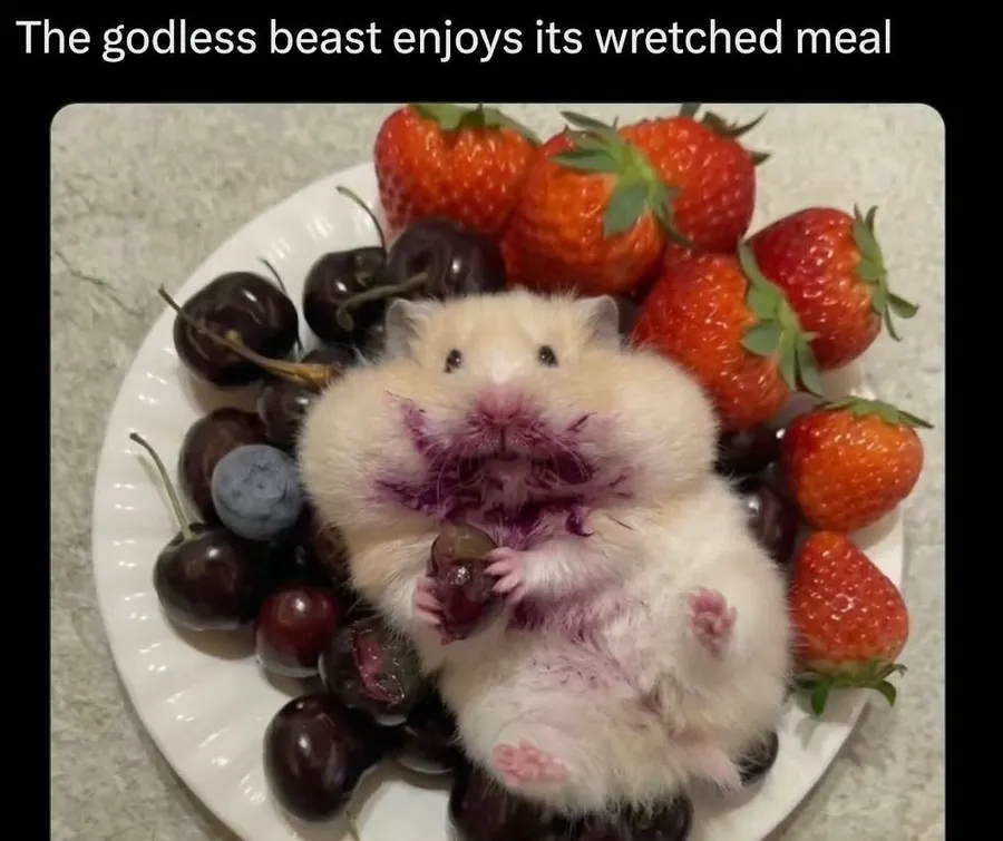 Untitled meme
