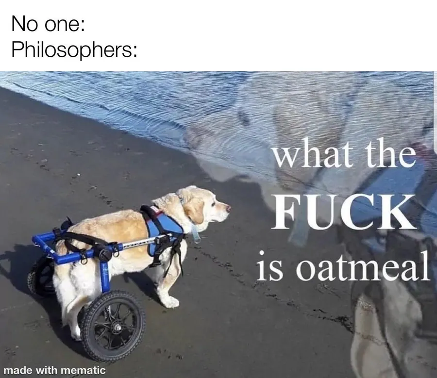Untitled meme