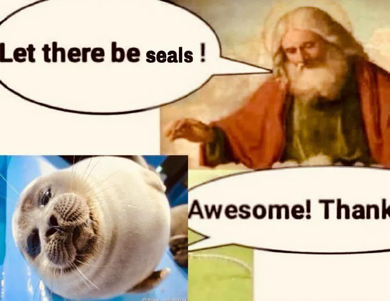 Untitled meme