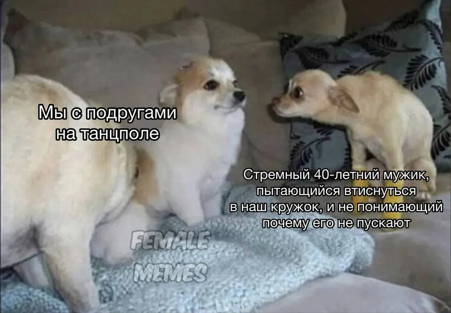 Untitled meme